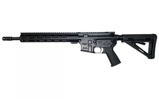 WMD Guns Beast 1-556BLK
